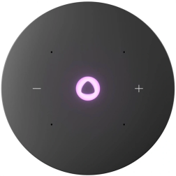 Умная колонка Яндекс Станция Мини 3 Про с Алисой, Zigbee, 18 Вт, черный